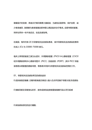2024导管相关血流感染.docx