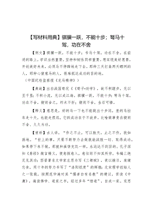【写材料用典】骐骥一跃不能十步；驽马十驾功在不舍&在党委秘书长办公室主任会议上的发言.docx