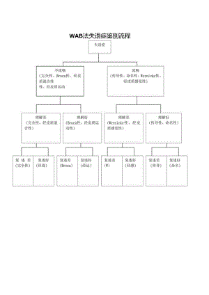 WAB法失语症鉴别流程.docx