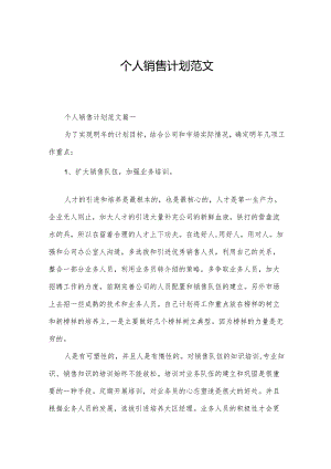 个人销售计划范文.docx