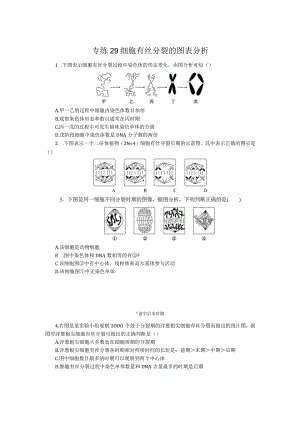 专练29细胞有丝分裂的图表分析.docx