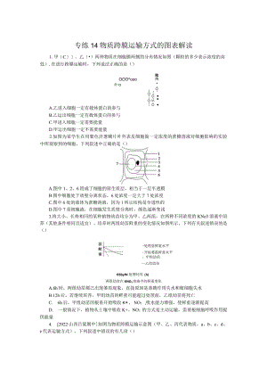 专练14物质跨膜运输方式的图表解读.docx