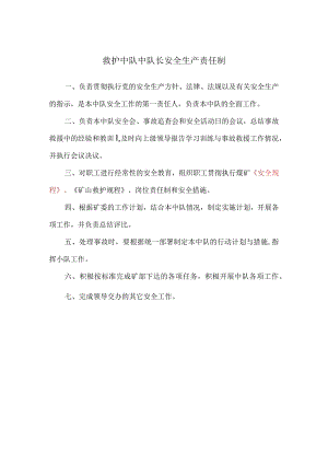 救护中队中队长安全生产责任制.docx