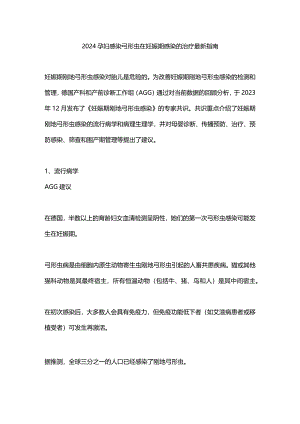 2024孕妇感染弓形虫在妊娠期感染的治疗最新指南.docx