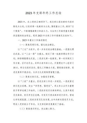 2023年支部年终工作总结.docx