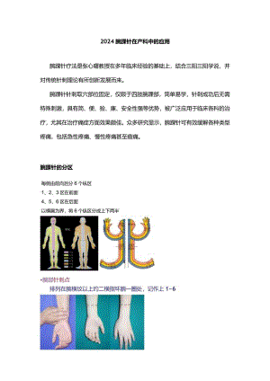 2024腕踝针在产科中的应用.docx