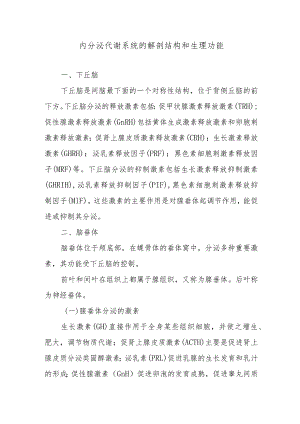 内分泌代谢系统的解剖结构和生理功能.docx