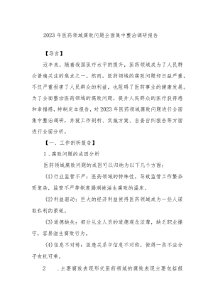 2023年医药领域腐败问题全面集中整治调研报告.docx