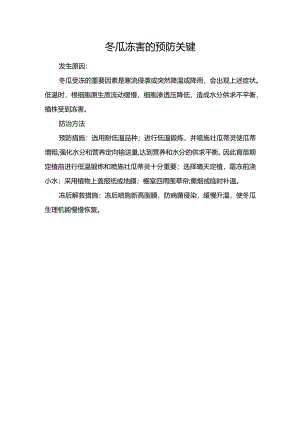 冬瓜冻害的预防关键.docx