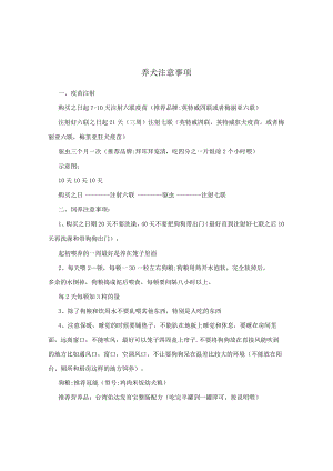 养犬注意事项.docx