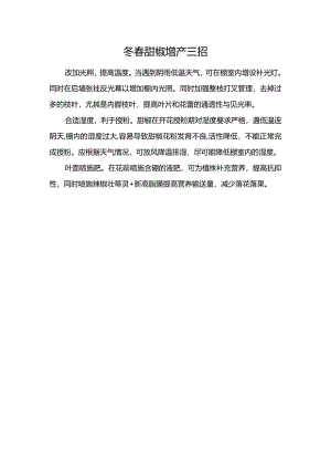 冬春甜椒增产三招.docx
