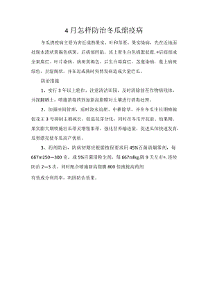 4月怎样防治冬瓜绵疫病.docx