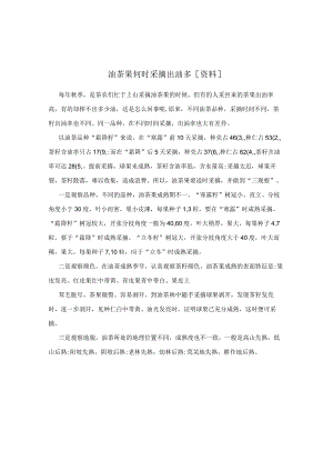油茶果何时采摘出油多[资料].docx