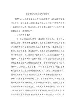 党支部书记抓党建述职报告.docx