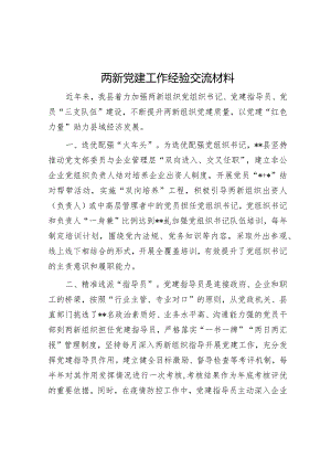 两新党建工作经验交流材料【】.docx