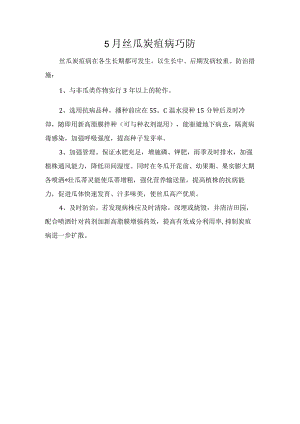 5月丝瓜炭疽病巧防.docx