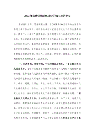 2023年宣传思想队伍建设的情况报告范文.docx