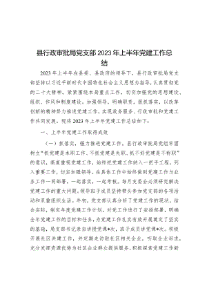县行政审批局党支部2023年上半年党建工作总结.docx