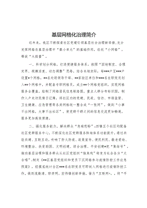 基层网格化治理简介【】.docx