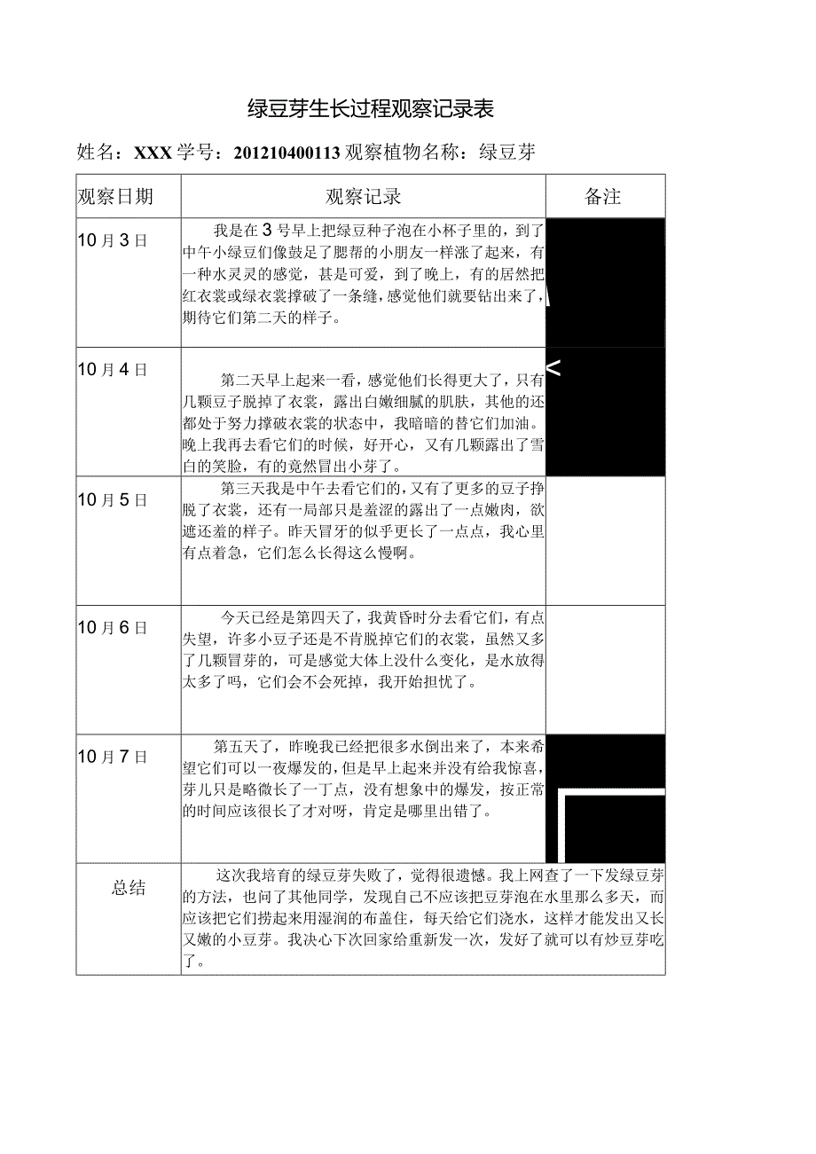 植物观察记录表.docx_第1页