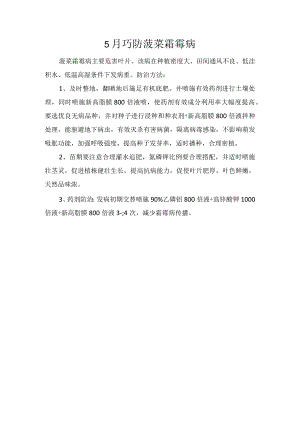 5月巧防菠菜霜霉病.docx