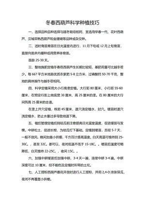 冬春西葫芦科学种植技巧.docx