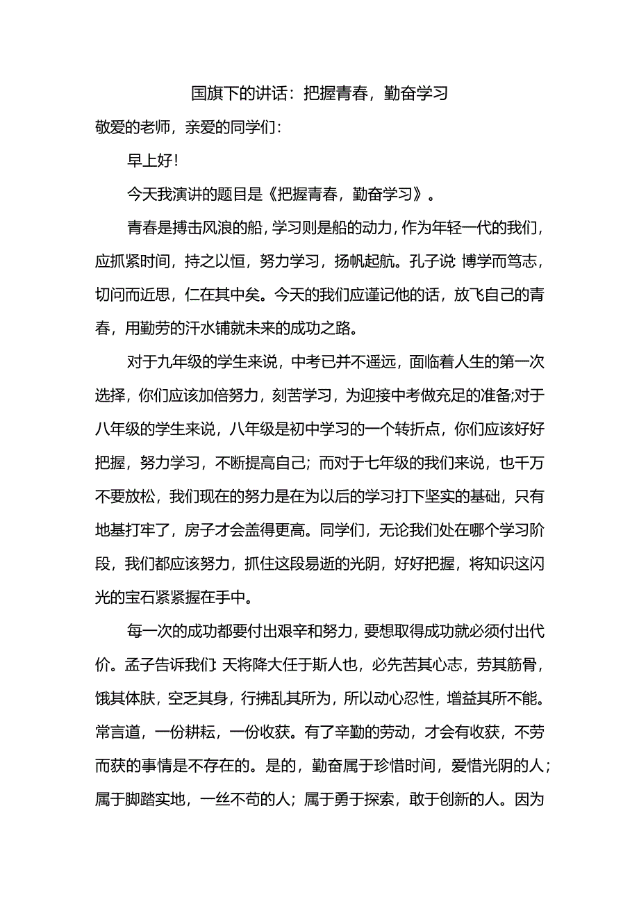 把握青春勤奋学习发言稿国旗下的讲话.docx_第1页