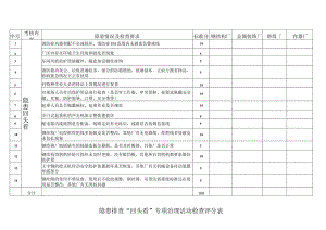 隐患排查“回头看”专项治理活动检查评分表.docx
