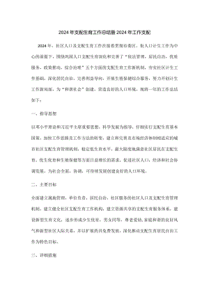 2024计生工作总结.docx