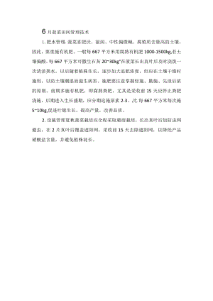 6月菠菜田间管理技术.docx