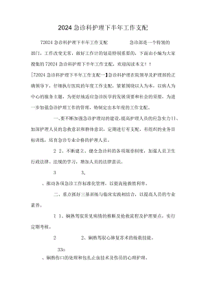 2024急诊科护理下半年工作计划.docx