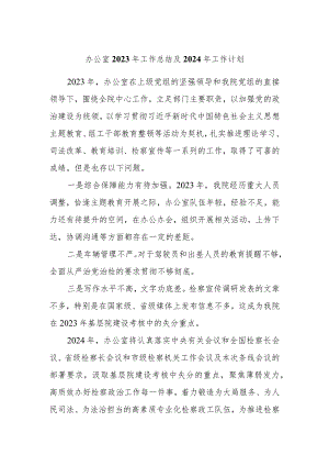 办公室2023年工作总结及2024年工作计划.docx
