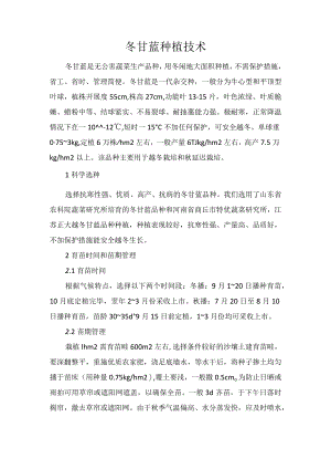 冬甘蓝种植技术.docx