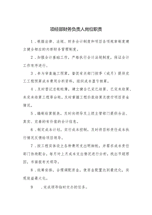 项经部财务负责人岗位职责.docx