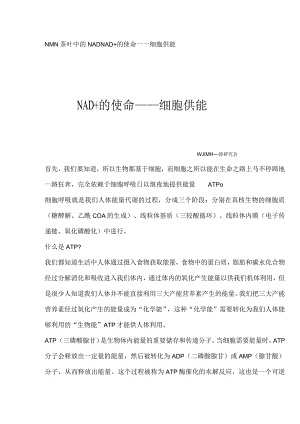 NMN茶叶中的NAD+的使命——细胞供能.docx
