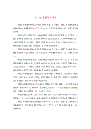 2024关于辅导员评语.docx