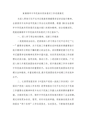 X镇铸牢中华民族共同体意识工作进展情况.docx