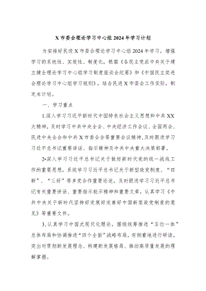X市委会理论学习中心组2024年学习计划.docx