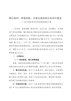 电子商务进农村项目建设情况汇报.docx