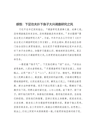 感悟：下足功夫扑下身子大兴调查研究之风【】.docx