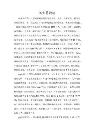 冬大葱栽培.docx