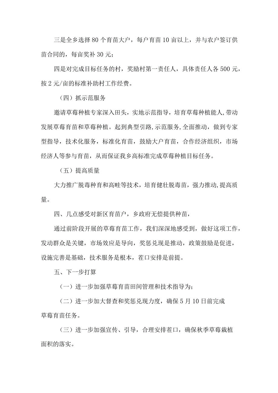 草莓育苗工作情况汇报.docx_第3页