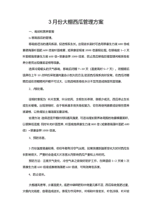 3月份大棚西瓜管理方案.docx