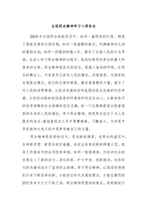 全国两会精神学习心得体会.docx