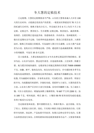 冬大葱的定植技术.docx