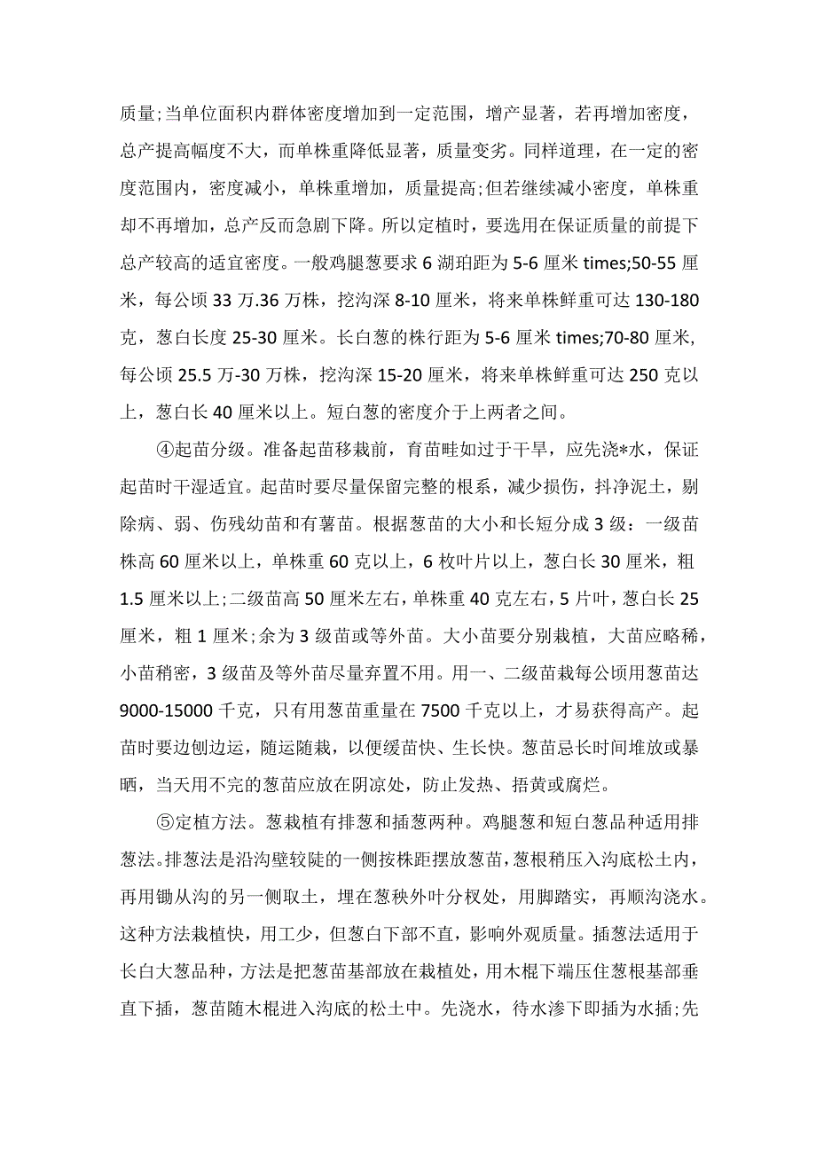 冬大葱的定植技术.docx_第2页