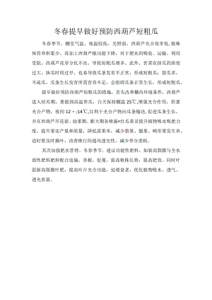冬春提早做好预防西葫芦短粗瓜.docx