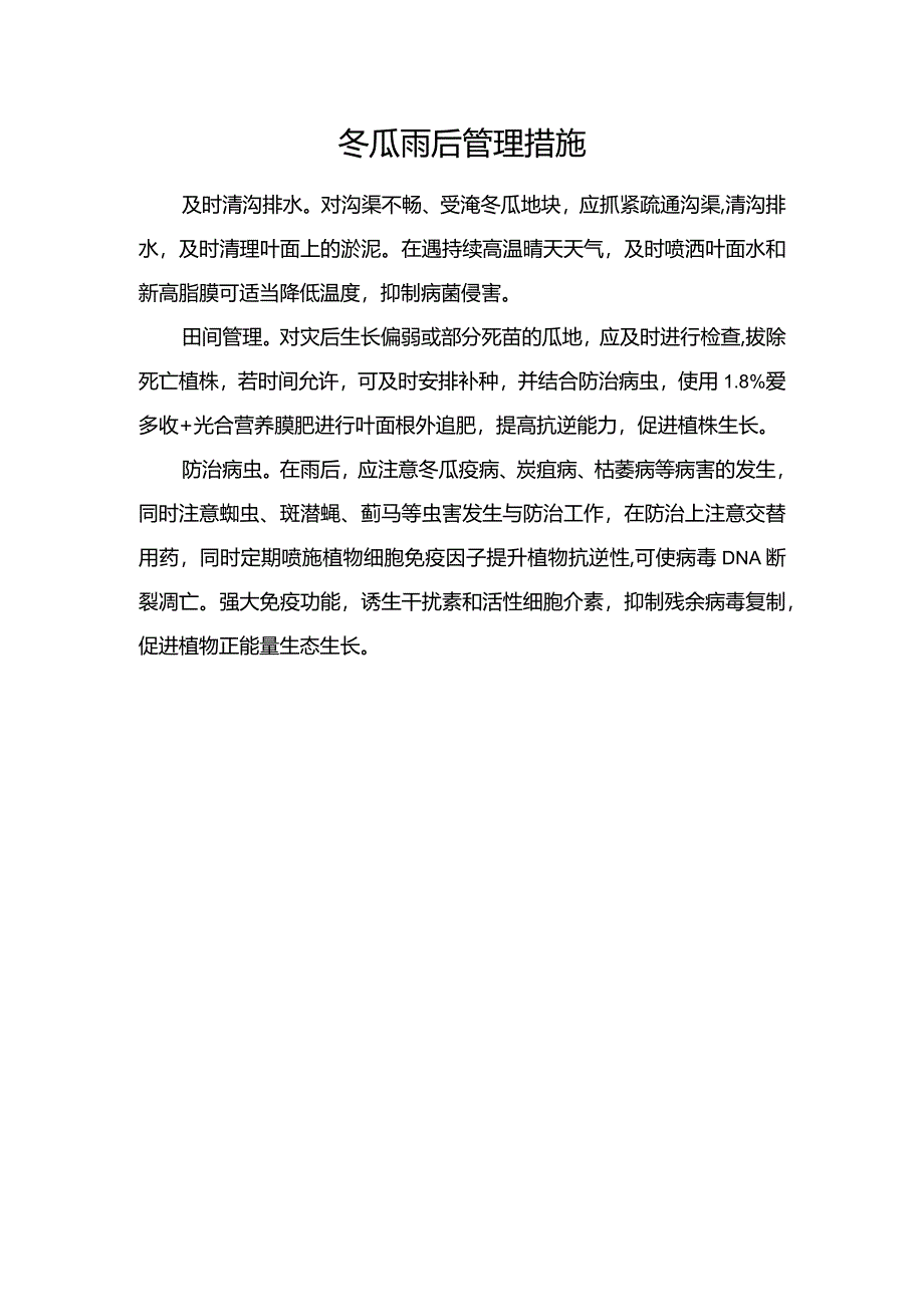 冬瓜雨后管理措施.docx_第1页