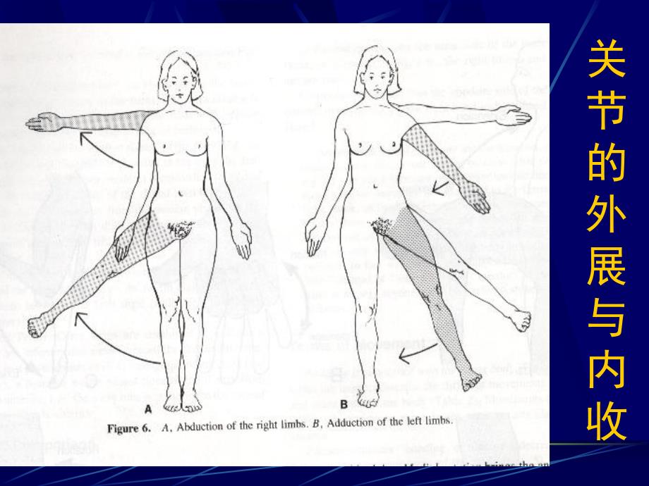 关节治疗技术ppt演示文稿.ppt_第3页