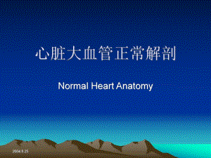心脏正常解剖.ppt.ppt